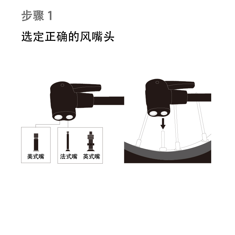 LD8 Head Step1-01